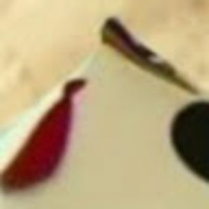 Meet your Posher, Hunter